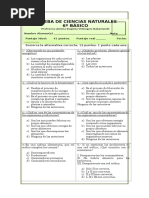 Prueba Ciencias 6° Fotosíntesis y Cadenas Alimentarias