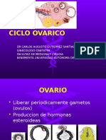 Ciclo Ovarico