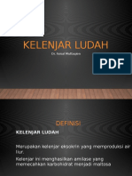 Kelenjar Ludah