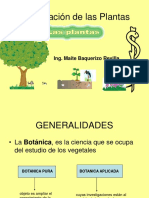 Clasificacion plantas