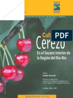 Cultivo Del Cerezo en Secano Interior de Región Biobío