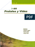 Riego en Frutales y Vides PDF