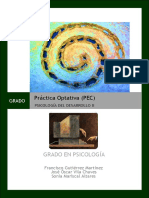 Guía_específica_de_la_práctica_optativa_-2015-16