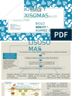 Lisosomas y Peroxisomas