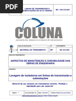 LAVAGEM DE ISOLADORES EM LINHAS DE TRAN….pdf