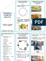 Leaflet DIET DM