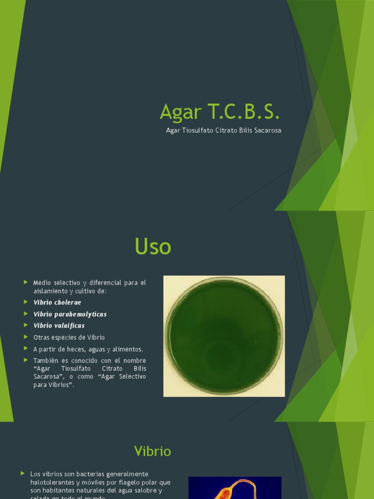 Agar TCBS | PDF | Microbiología | Las bacterias
