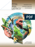 Capital Natural de Mexico_Sintesis.pdf
