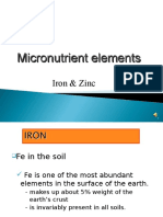 Iron and Zinc Micronutrients