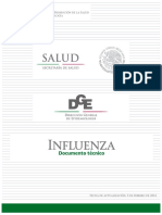 documento_tecnico_influenza.pdf