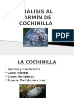 Análisis Al Carmín de Cochinilla