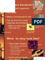 BACTERIA.ppt