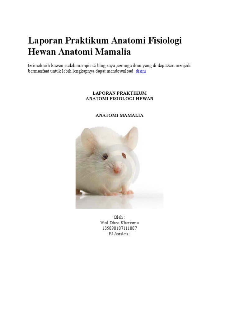 Laporan Praktikum Anatomi Fisiologi Hewan Anatomi Mamalia Pdf - Riset