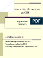 Particularitati CES