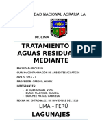 Tratamiento de Agua Por Lagunaje