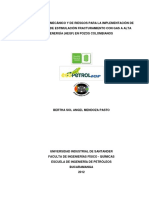 Analisis Geomecanico y de Riesgos Para La Implementacion de Estimulacion Fracturamiento Con Gas