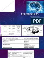 bases neurológicas.pptx