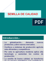 Semilla de Calidad