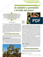 Bolla Del Pesco PDF