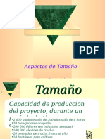 E_Tamaño_Localización (1).ppt