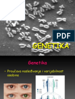 Genetika - Hromozomi I Aleli