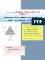 16140734-CASO-EMPRESA-FARMACEUTICA-PFIZER.pdf