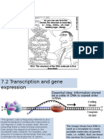 7.2 Transcription and Gene Expression