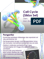 3 Cell Cycle