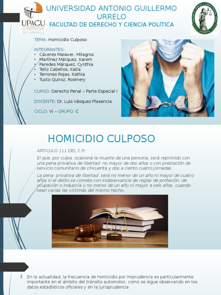 Teoria del caso ejemplo homicidio culposo