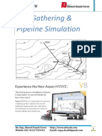 Pipeline Simulation.pdf