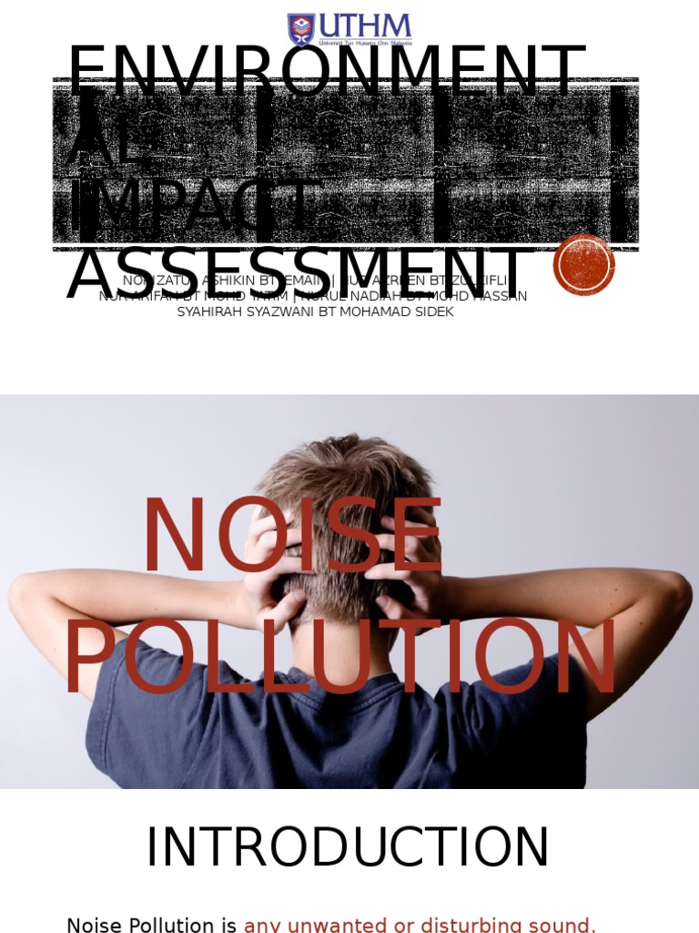 Eia Noise Pollution Pdf Noise Environmental Impact Assessment