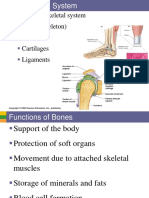 Skeletal System PDF