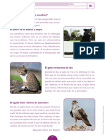 Evaluación Inicial 5EP PDF