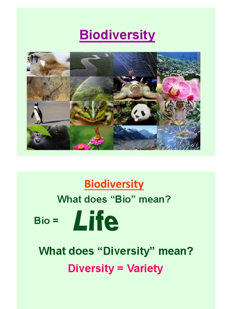 essay on biodiversity pdf