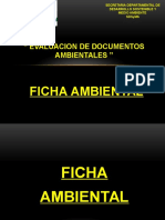 FICHA AMBIENTAL 2012.pptx