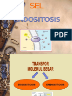 ENDOSITOSIS