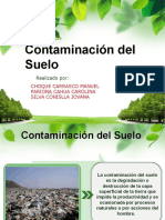 Contaminacion Del Suelo