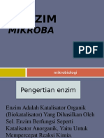 Enzim Mikroba