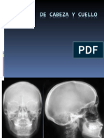 Cabeza y Cue Llo