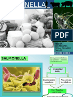 SALMONELLA UJAP.pptx