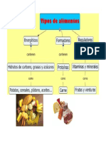 Tipos de Nutrientes