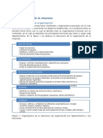 Estructura Organizacional