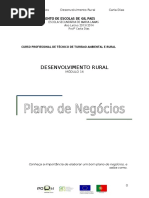 Elaborar Um Plano de Negocios