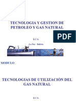 Cap 1 Utilización Del Gas Natural