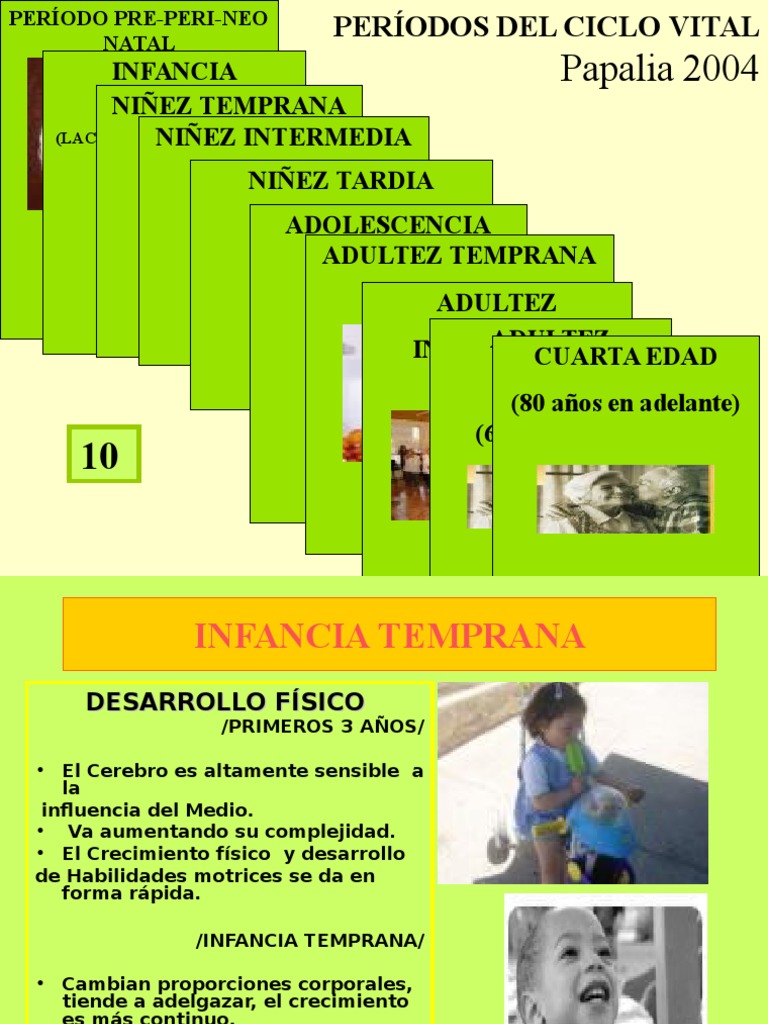 Desarrollo infantil y apego emocional | PDF | Teoría de apego ...