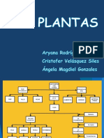 Las Plantas 2