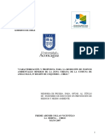 Remosion de Relaves en Andacollo.pdf