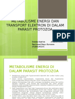 Metabolisme Energi Dan Transport Elektron Di Dalam Parasit