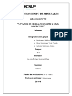 PROCESAMIENTO-DE-MINERALES-lab-10.pdf