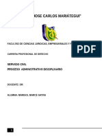 Proceso Administrativo Disciplinario Wor